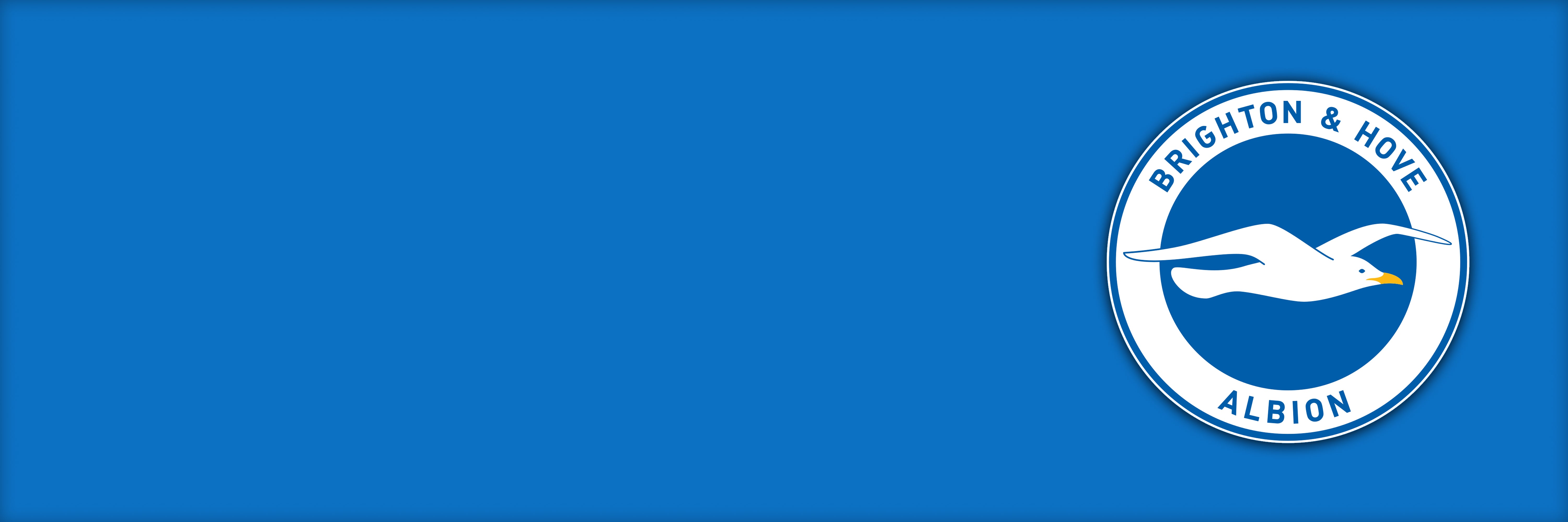 Brighton & Hove Albion