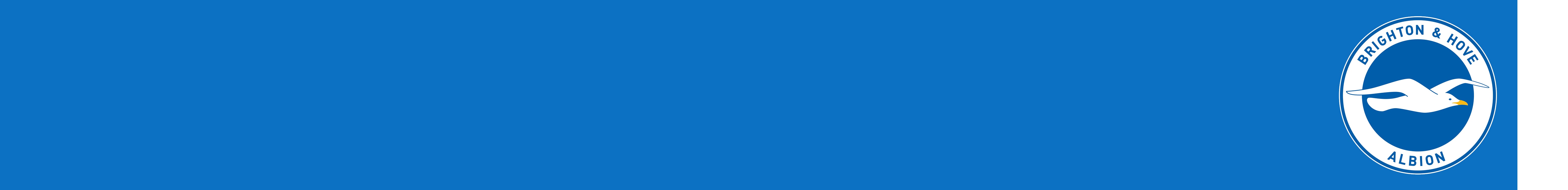 Brighton & Hove Albion
