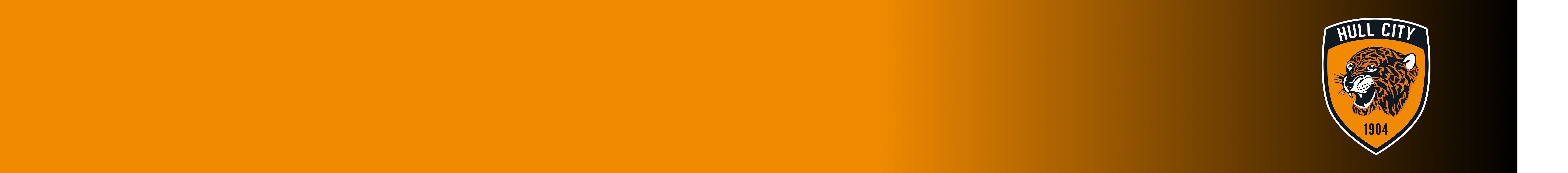 Hull City