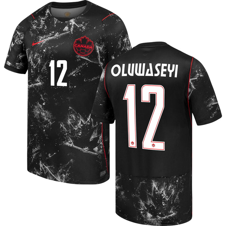 USA Heimtrikot 2024 Erwachsene COPA AMERICA 