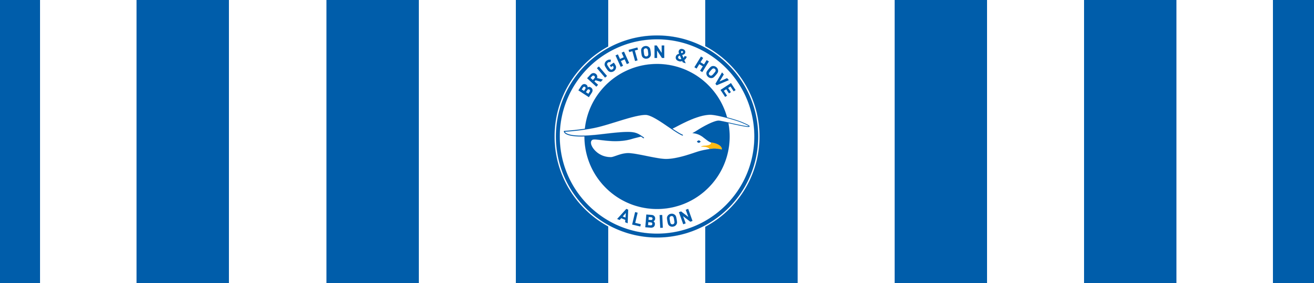 Brighton & Hove Albion