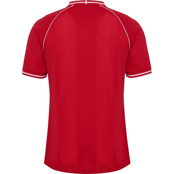 Denmark Home Jersey 2026 Adults