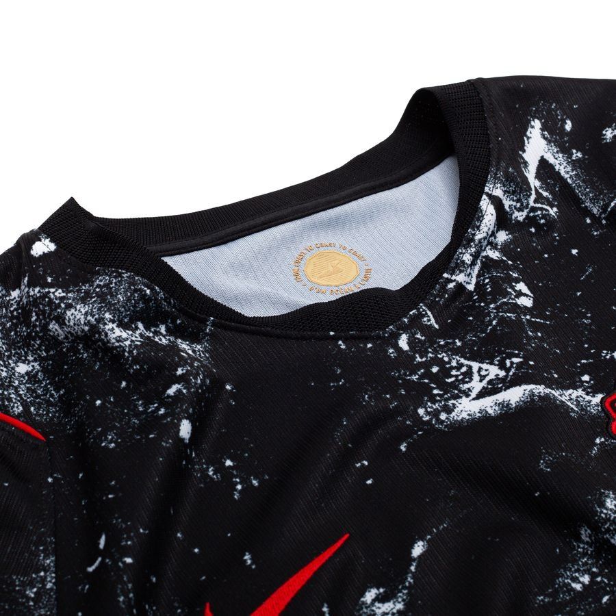 USA Heimtrikot 2024 Erwachsene COPA AMERICA 