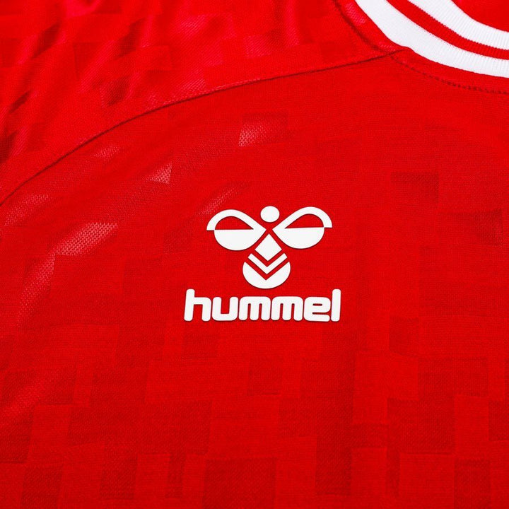 Denmark Home Jersey 2024 Adults