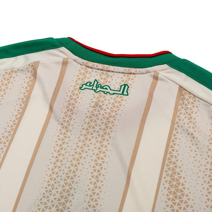 Schottland Heimtrikot 2024 Erwachsene