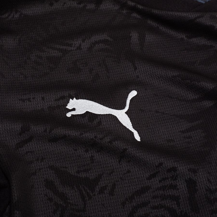 Portugal Heimtrikot 2025 Herren 