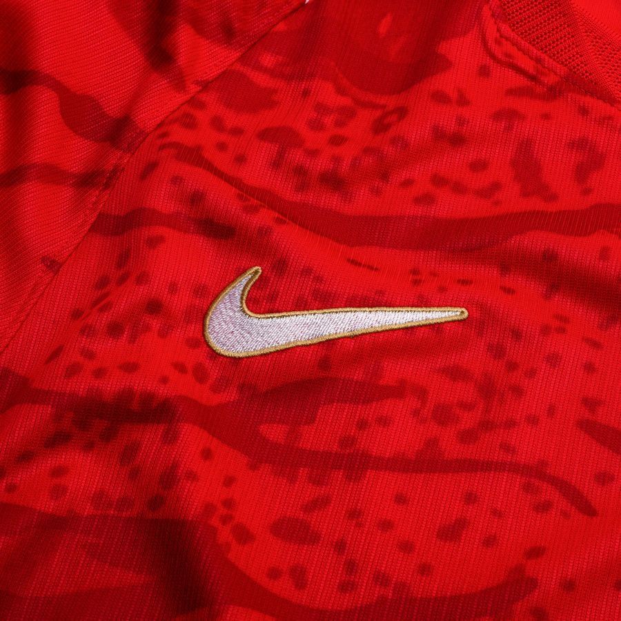 USA Heimtrikot 2024 Erwachsene COPA AMERICA 