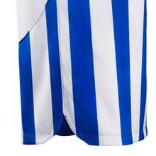 Load image into Gallery viewer, Brighton And Hove Albion Home Jersey 2023/24 Men`s
