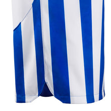 Laden Sie das Bild in den Galerie-Viewer, Brighton And Hove Albion Home Jersey 2023/24 Men`s
