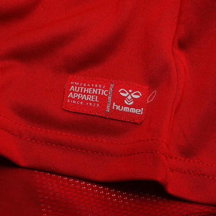 Denmark Home Jersey 2026 Adults