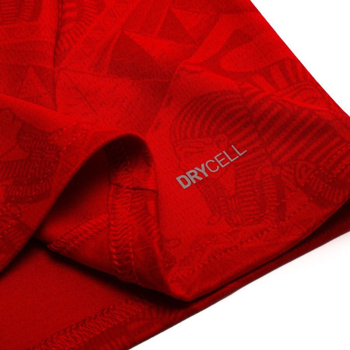 Egypt 2025/26 Home Replica Jersey Adults