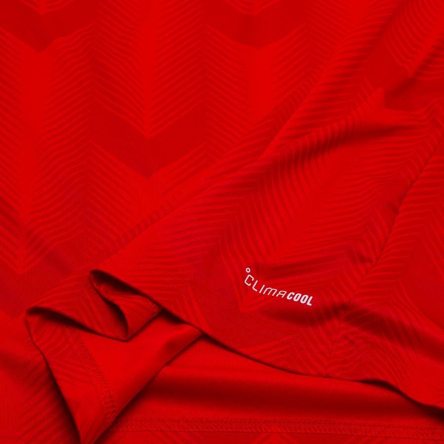 Chile World Cup 2026 Home Replica Jersey Adults