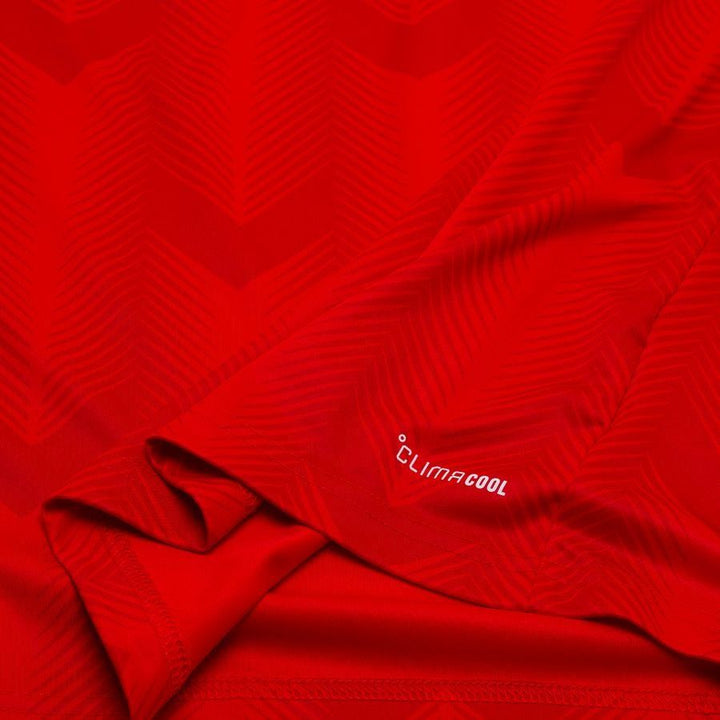 Chile World Cup 2026 Home Replica Jersey Adults