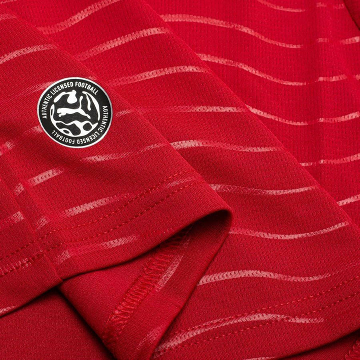 Portugal World Cup 2026 Home Replica Long Sleeve Jersey Adults