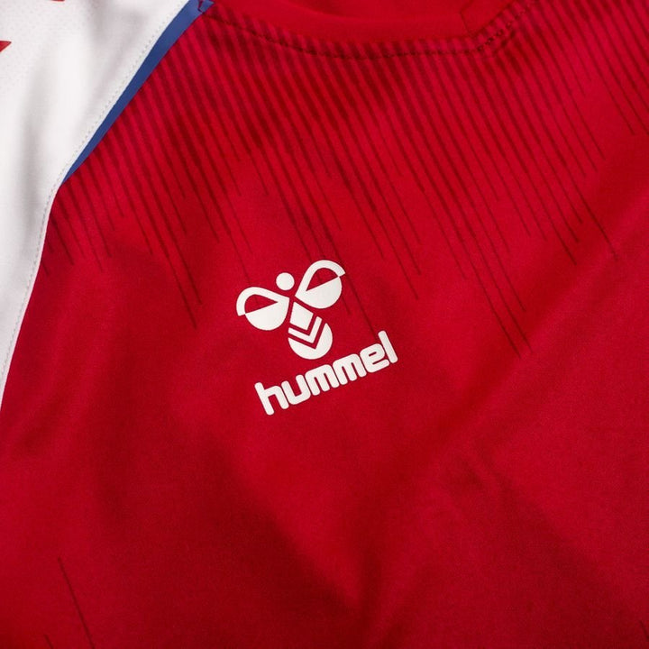 Denmark Home Stadium Jersey 2021